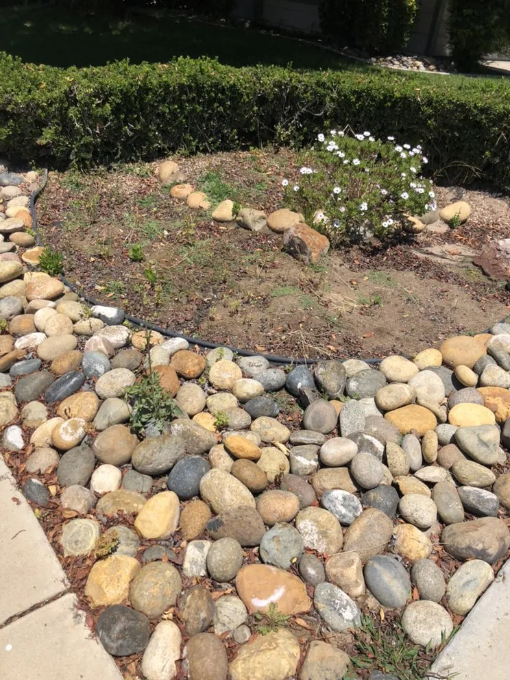 Affordable garden landscaping experts serving Santa Maria, CA - Cosand & Sons Landscaping and Maintenance