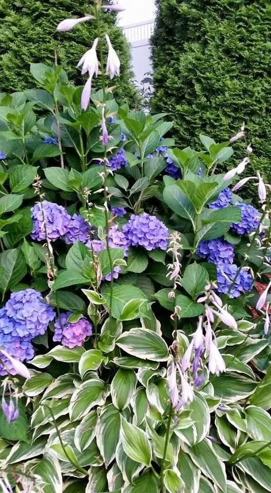 Trusted landscaping services for outdoor upgrades in Cedar Knolls, NJ by Cosco Landscaping & Masonry