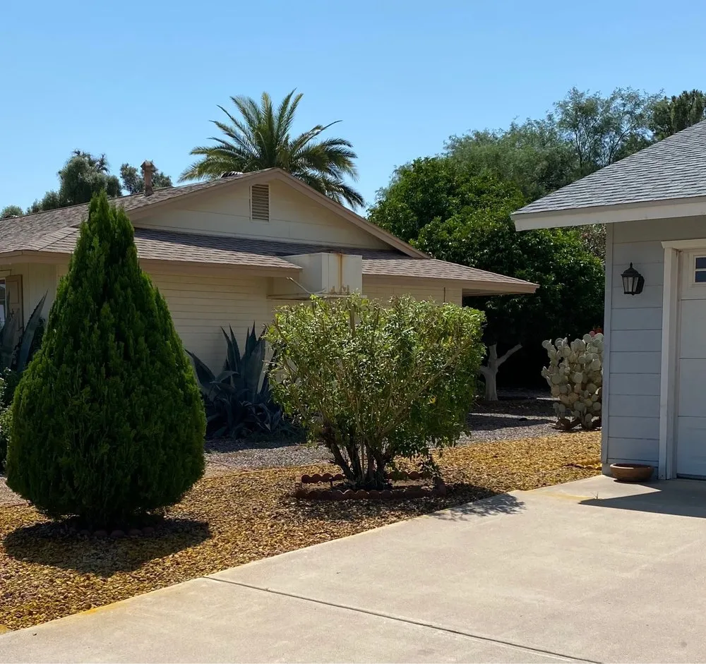 Trusted lawn care service for year-round maintenance across Surprise, AZ - Cosio's Landscaping