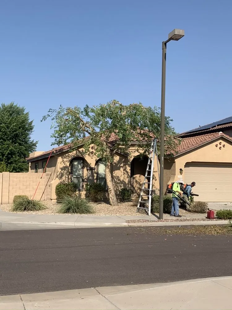 Expert yard cleanup service for beautiful yards across Surprise, AZ - Cosio's Landscaping