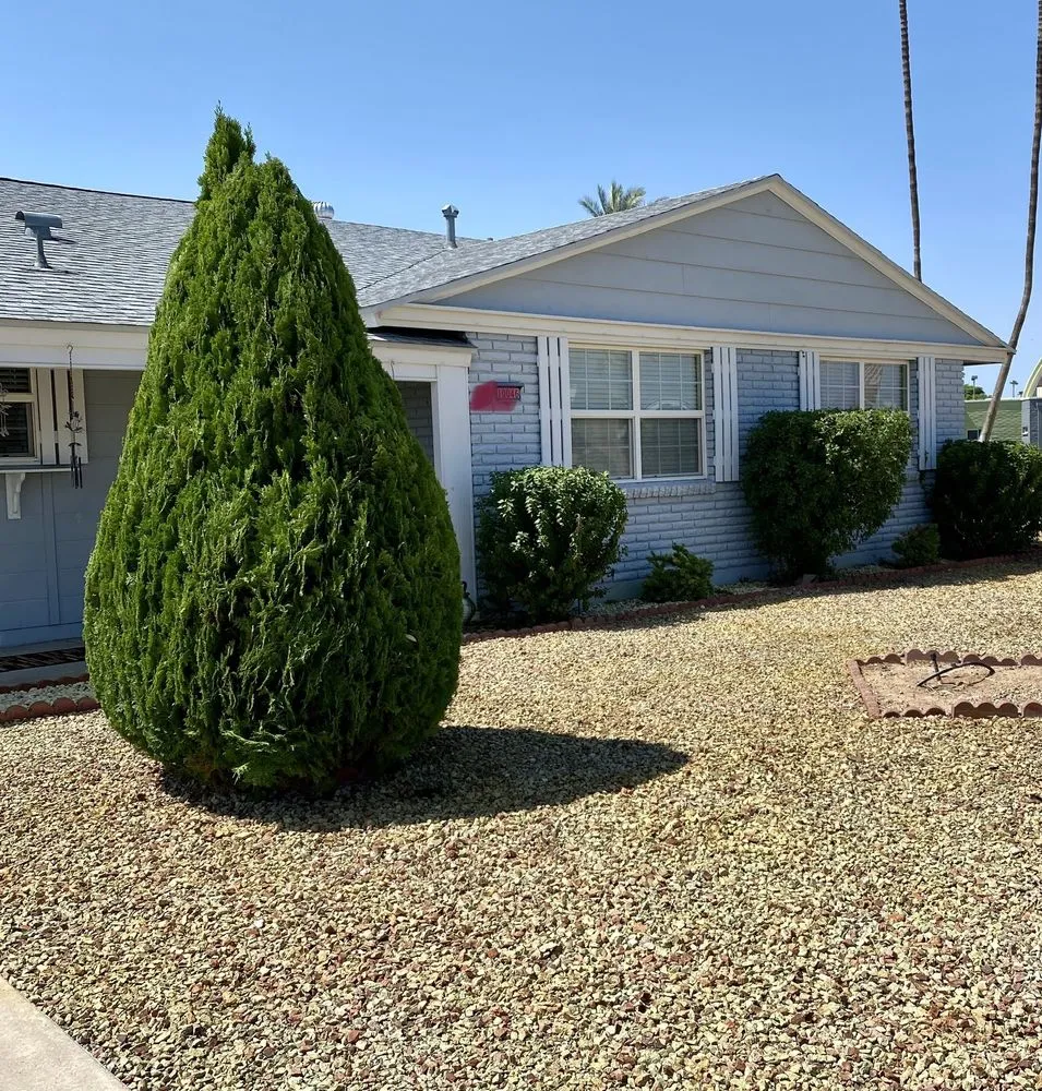 Affordable yard cleanup service with custom design in Surprise, AZ by Cosio's Landscaping