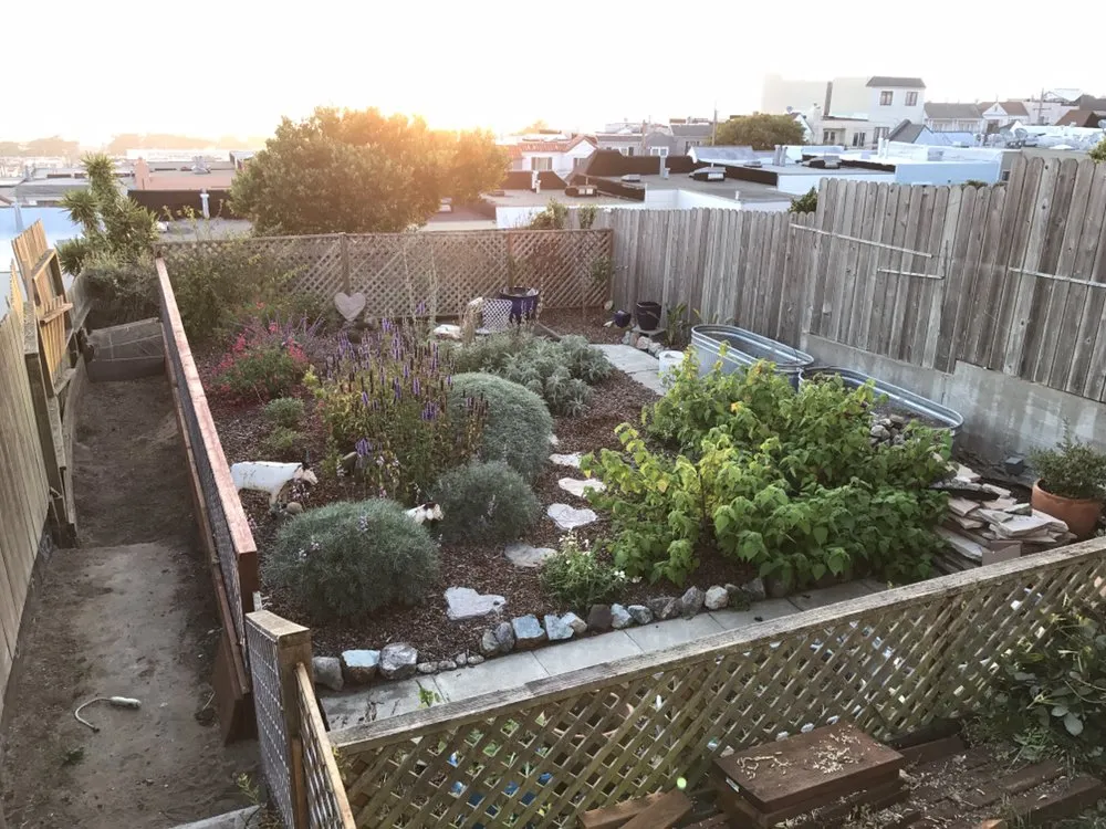 Reliable landscape design experts serving San Francisco, CA - Cosman's Urban Farming