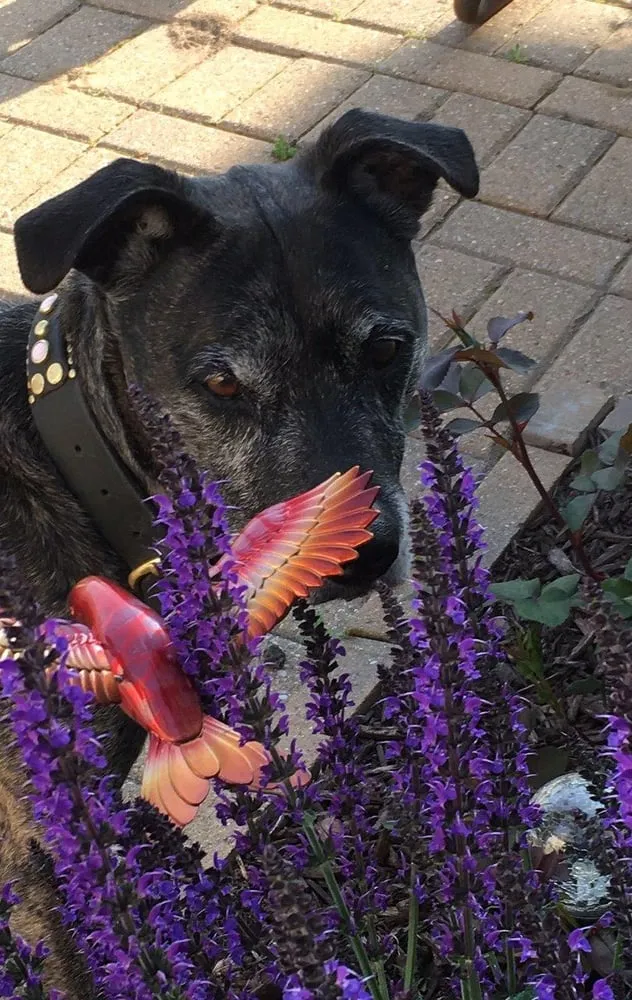 Expert garden landscaping for homes in Alsip, IL by Cosme Landscape Maintenance