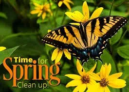 Top-rated lawn care service in Alsip, IL by Cosme Landscape Maintenance