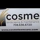 Professional yard cleanup service for residential properties in Alsip, IL by Cosme Landscape Maintenance