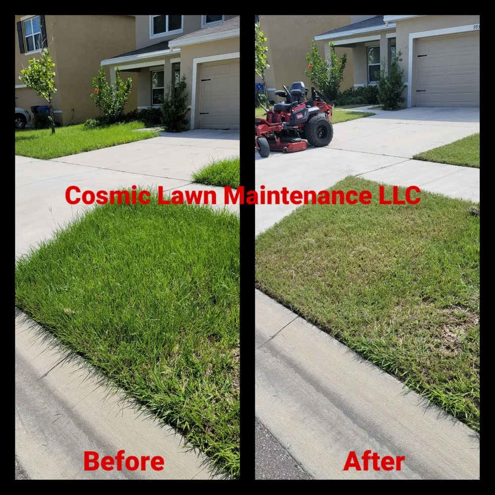 Affordable landscaping services for beautiful yards in Hillsborough County, FL by Cosmic Lawn Maintenance