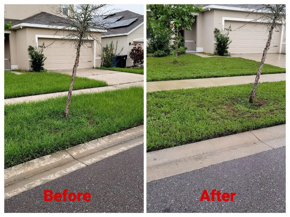 Reliable garden landscaping for year-round maintenance in Hillsborough County, FL by Cosmic Lawn Maintenance
