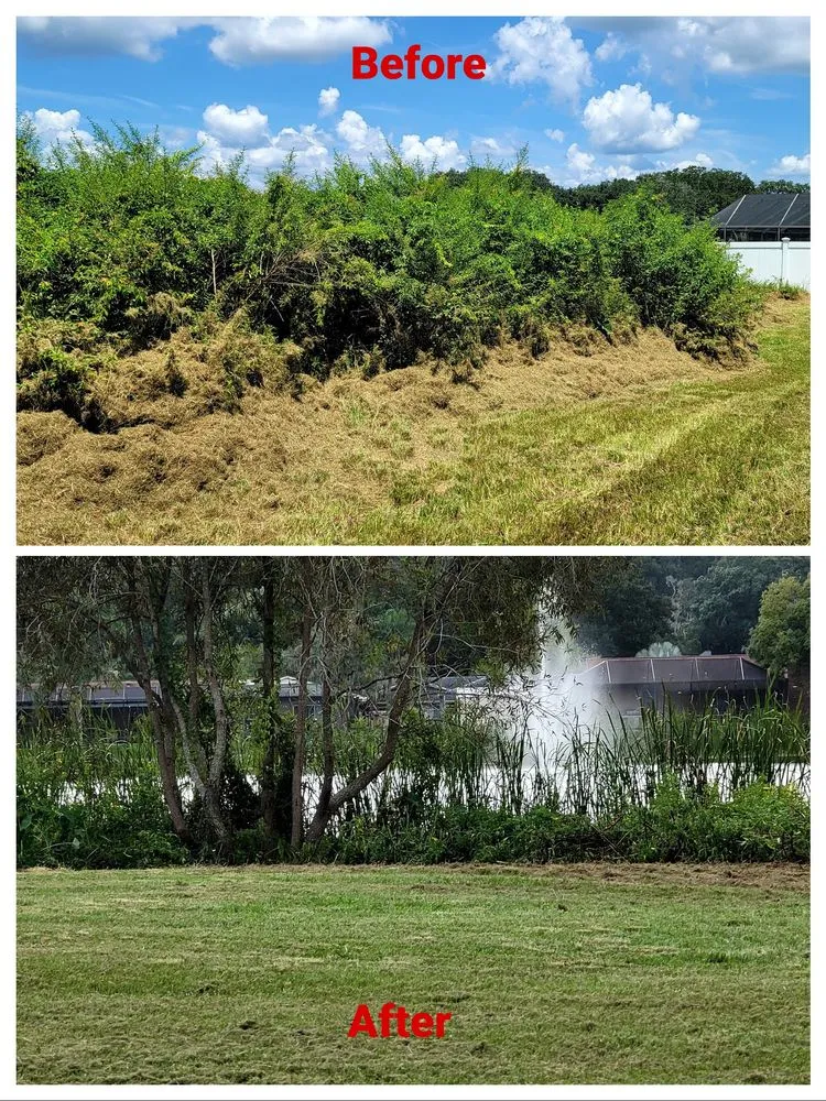 Trusted residential landscaping in Hillsborough County, FL by Cosmic Lawn Maintenance