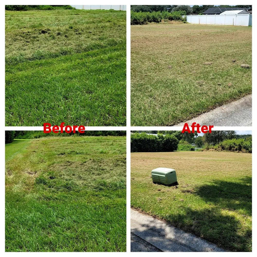 Reliable lawn mowing service for residential properties in Hillsborough County, FL by Cosmic Lawn Maintenance