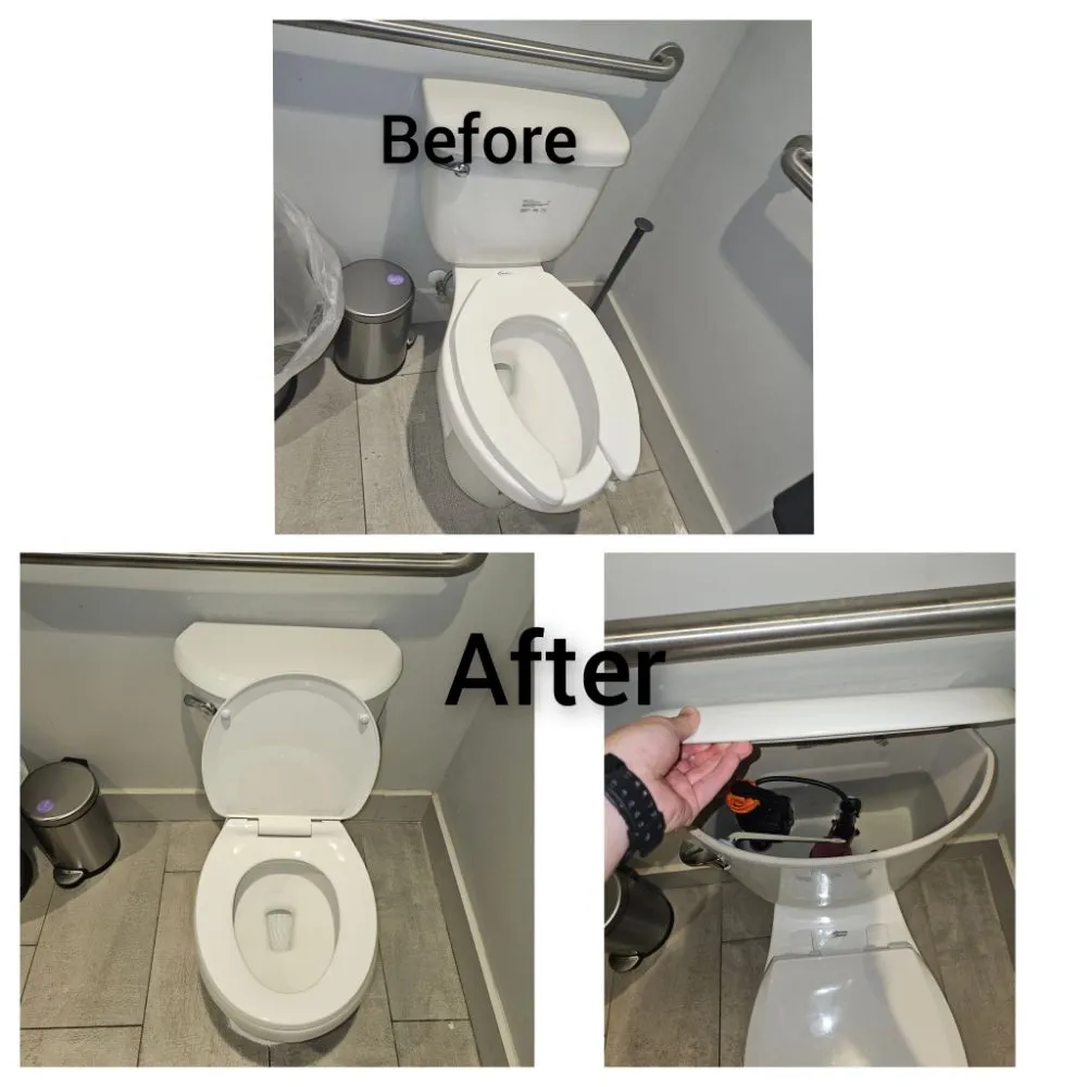 Top-rated landscaping services experts serving Worcester, MA - Cosmic Space Handyman Services