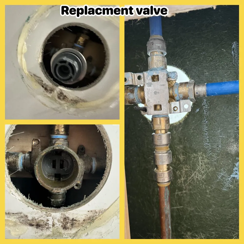 Local garden landscaping experts serving Worcester, MA - Cosmic Space Handyman Services