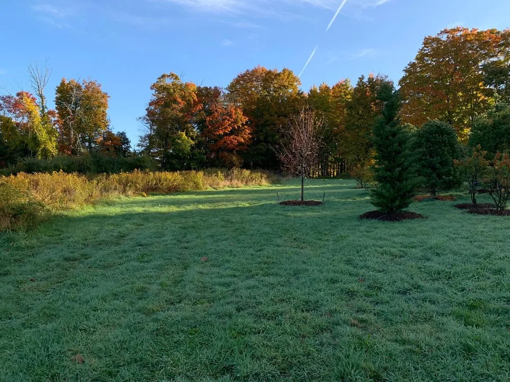 Affordable garden landscaping in New Milford, CT - Cosmo's Landscaping & Nursery