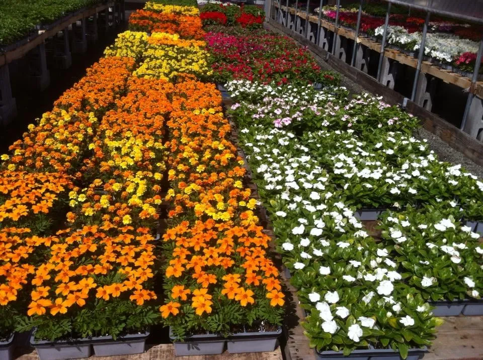 Local residential landscaping with custom design in New Milford, CT by Cosmo's Landscaping & Nursery