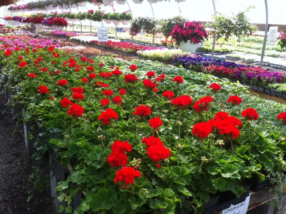 Professional landscape installation experts serving New Milford, CT - Cosmo's Landscaping & Nursery