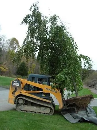 Trusted outdoor landscaping for year-round maintenance across New Milford, CT - Cosmo's Landscaping & Nursery