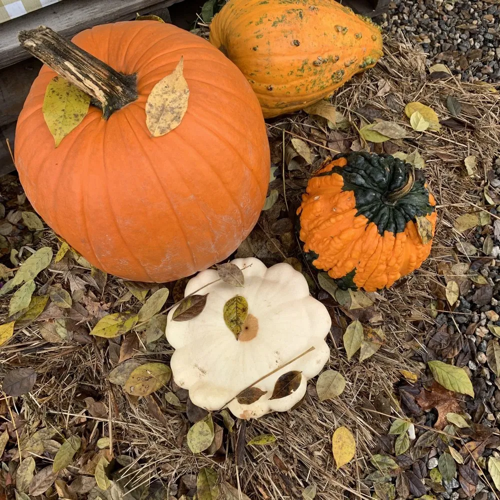 Custom garden landscaping in New Milford, CT - Cosmo's Landscaping & Nursery