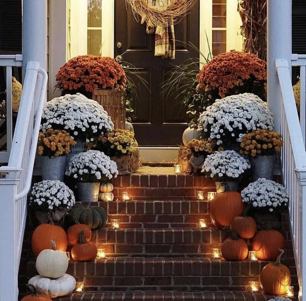 Local yard cleanup service in Buckeye, AZ by Cosnova Construction And Landscaping