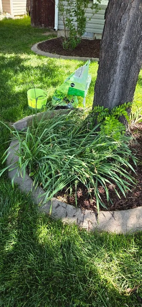 Affordable yard maintenance in Boise, ID by Cost Cutters Lawn Care