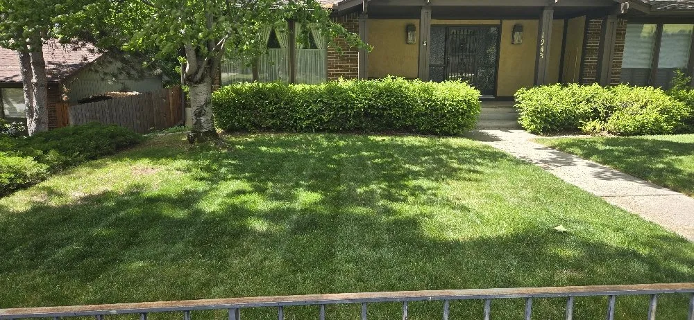 Expert lawn care service in Boise, ID by Cost Cutters Lawn Care