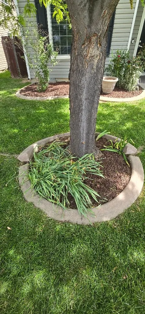 Reliable lawn care service for year-round maintenance in Boise, ID by Cost Cutters Lawn Care