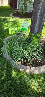 Cost Cutters Lawn Care Logo
