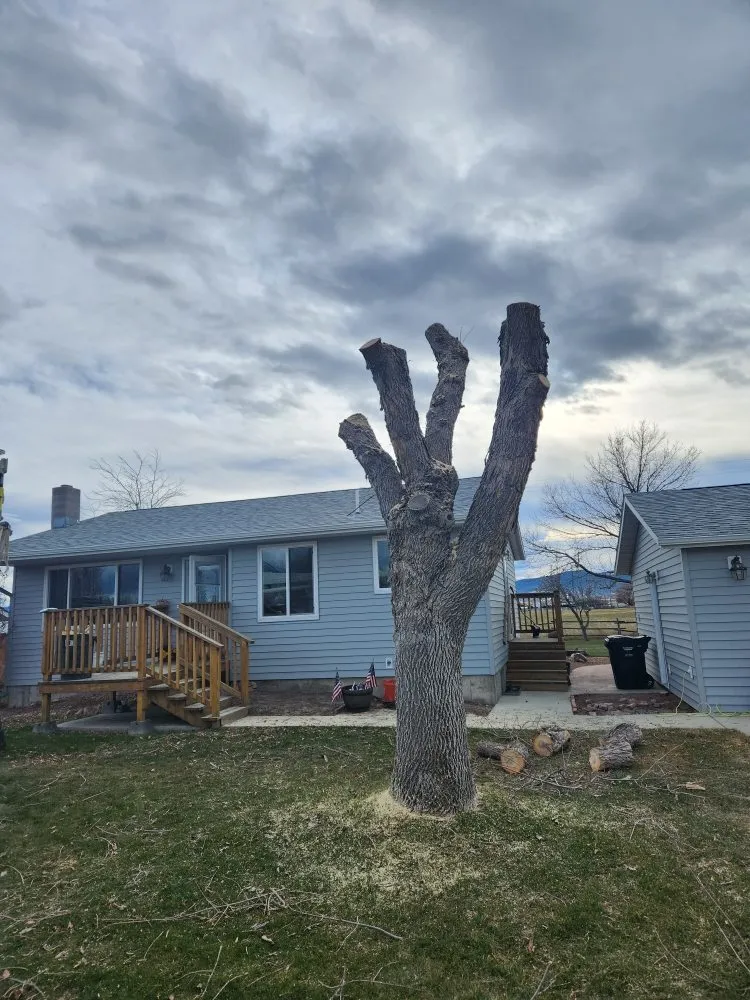 Reliable lawn mowing service in Helena, MT - Cost Cutters Tree And Landscaping