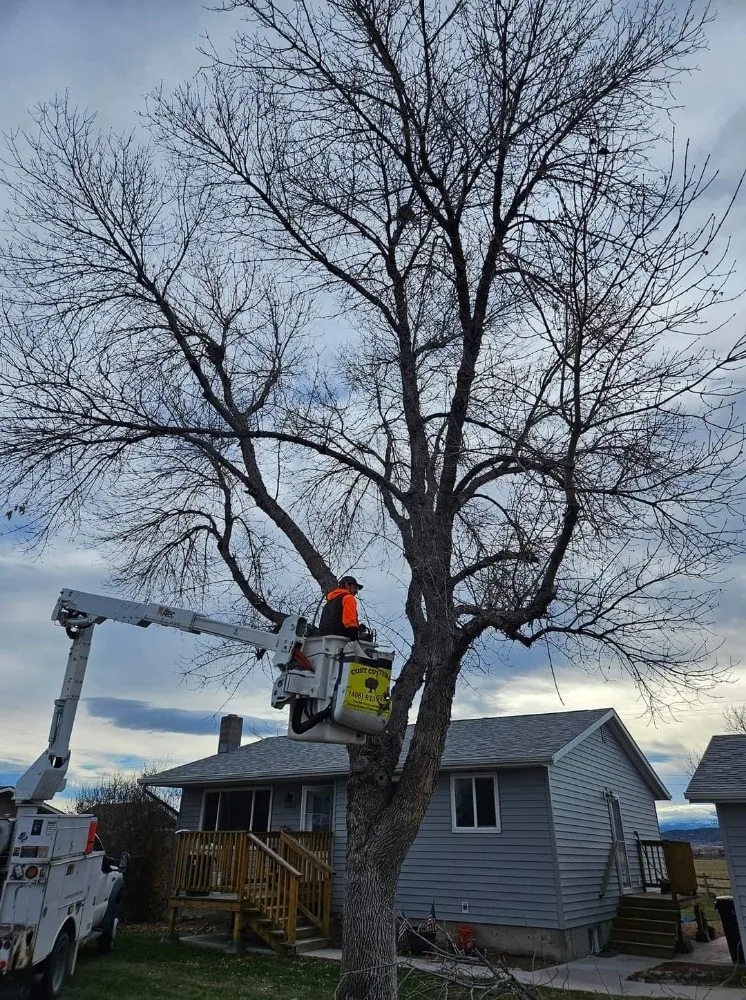 Professional yard cleanup service for beautiful yards in Helena, MT by Cost Cutters Tree And Landscaping