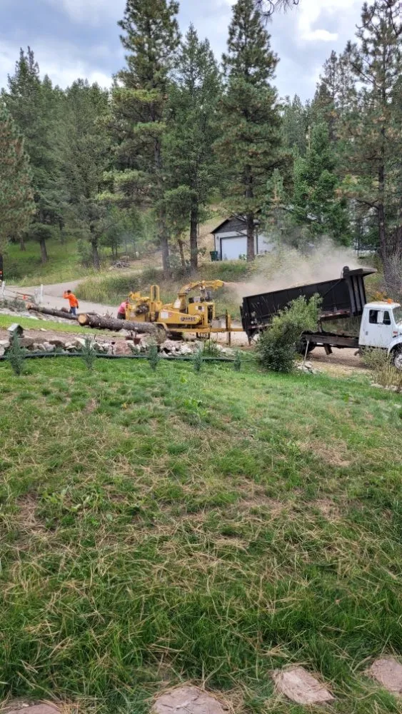 Reliable yard cleanup service in Helena, MT - Cost Cutters Tree And Landscaping