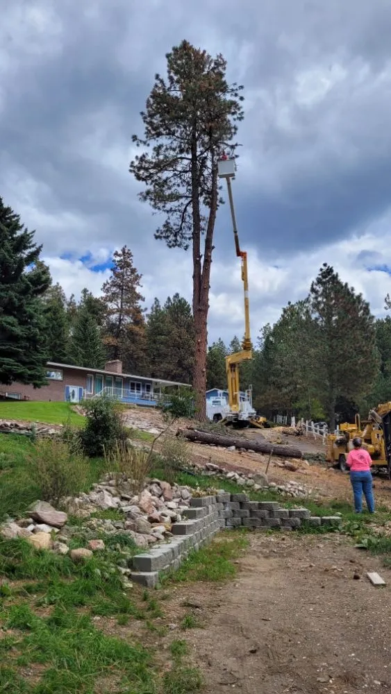 Top-rated outdoor landscaping in Helena, MT by Cost Cutters Tree And Landscaping