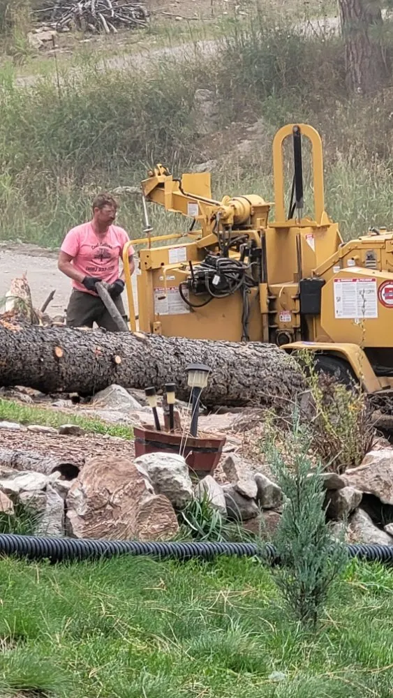 Top-rated yard cleanup service for residential properties across Helena, MT - Cost Cutters Tree And Landscaping