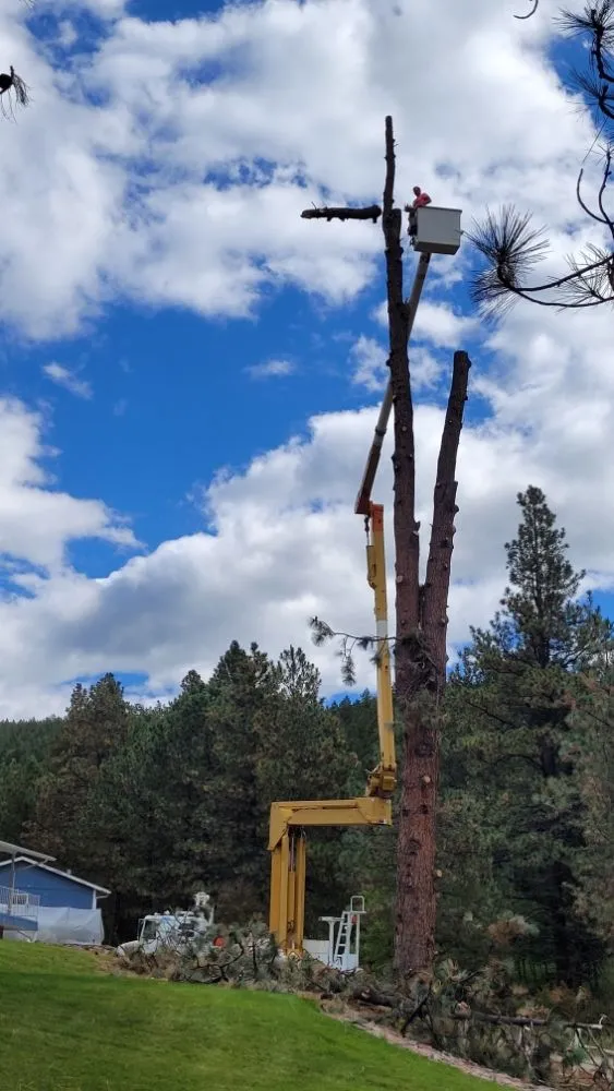 Custom yard maintenance in Helena, MT - Cost Cutters Tree And Landscaping