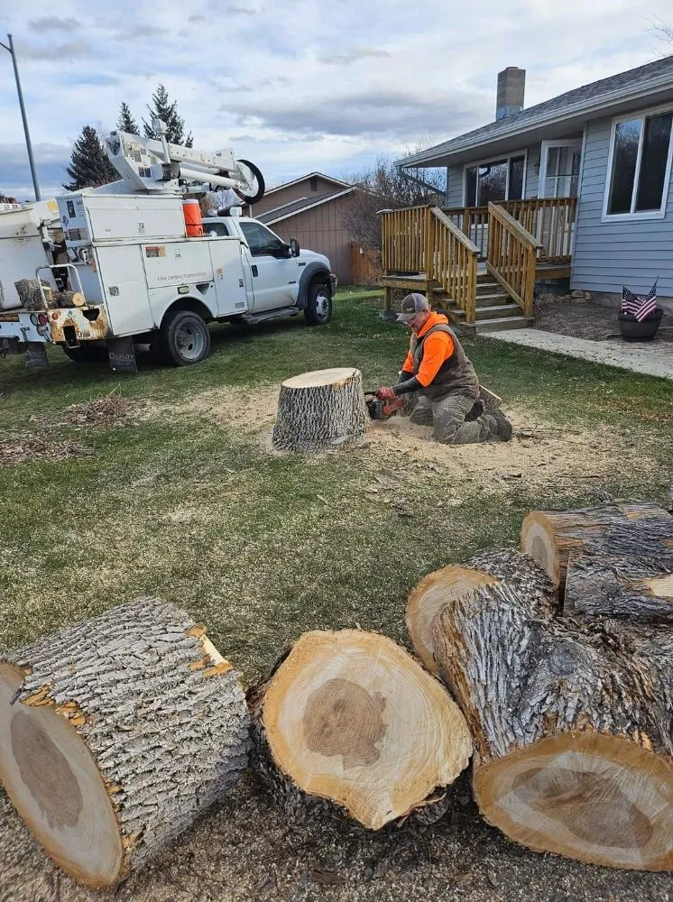 Affordable lawn mowing service experts serving Helena, MT - Cost Cutters Tree And Landscaping