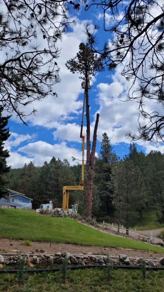 Custom landscaping services for residential properties across Helena, MT - Cost Cutters Tree And Landscaping