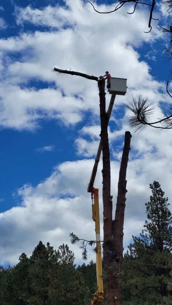 Professional lawn care service with custom design in Helena, MT by Cost Cutters Tree And Landscaping