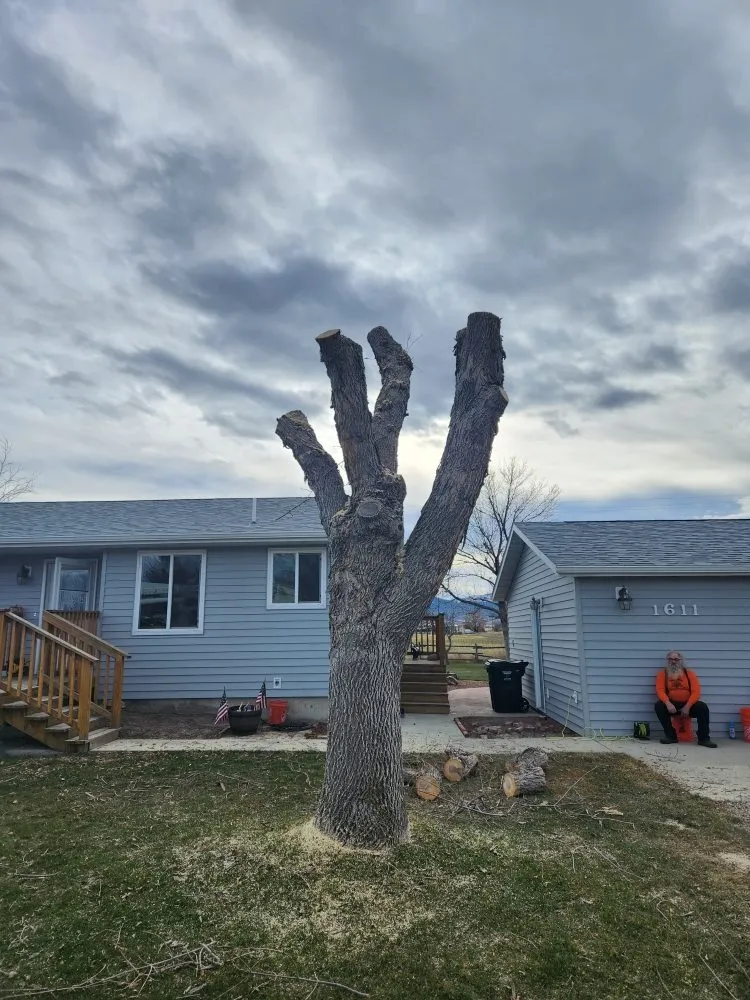 Expert landscape design for residential properties across Helena, MT - Cost Cutters Tree And Landscaping