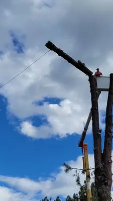 Cost Cutters Tree And Landscaping