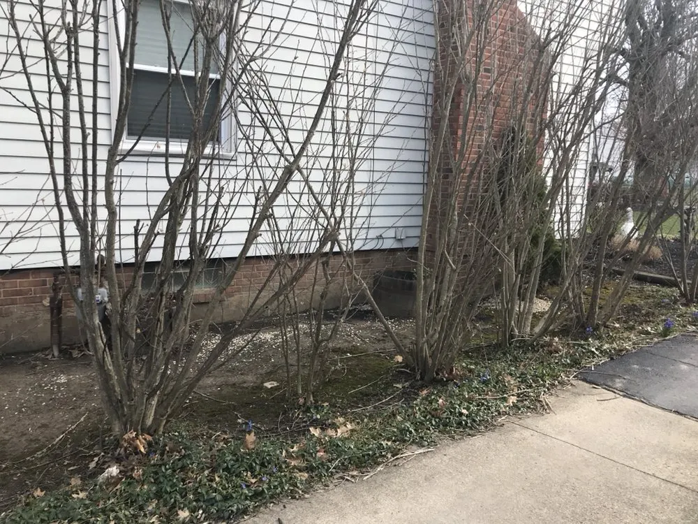 Professional outdoor landscaping experts serving Richmond Heights, OH - Cost Cutting Lawncare