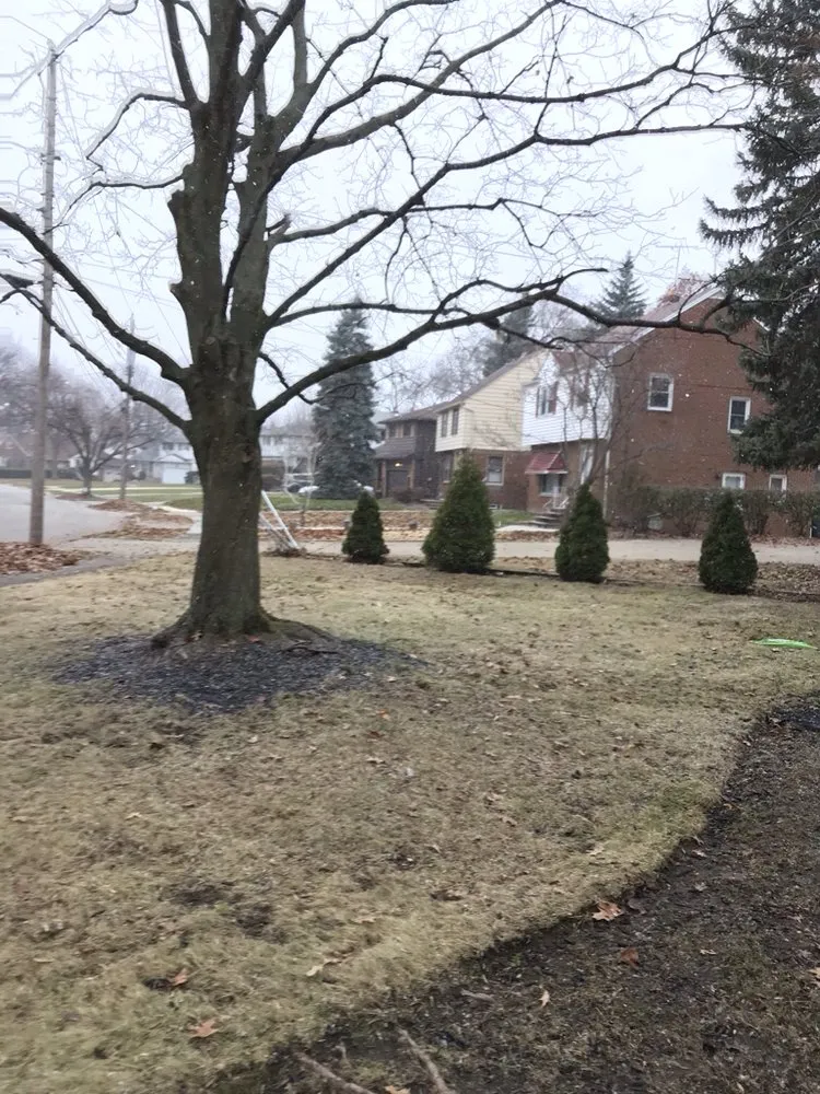 Local residential landscaping near you in Richmond Heights, OH by Cost Cutting Lawncare