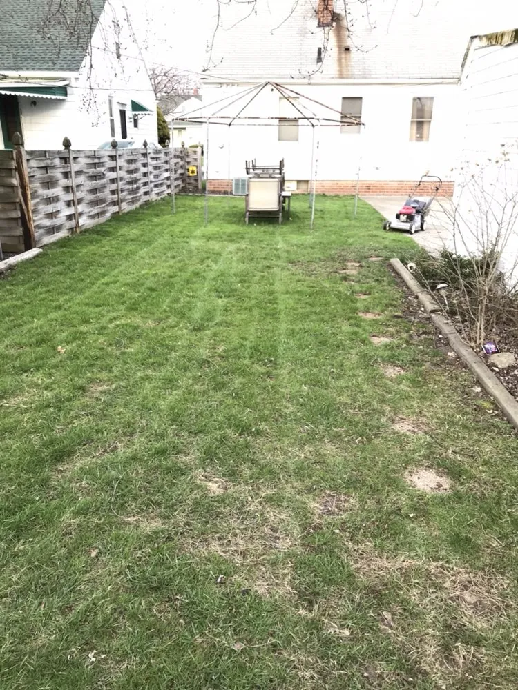 Reliable landscape installation in Richmond Heights, OH by Cost Cutting Lawncare