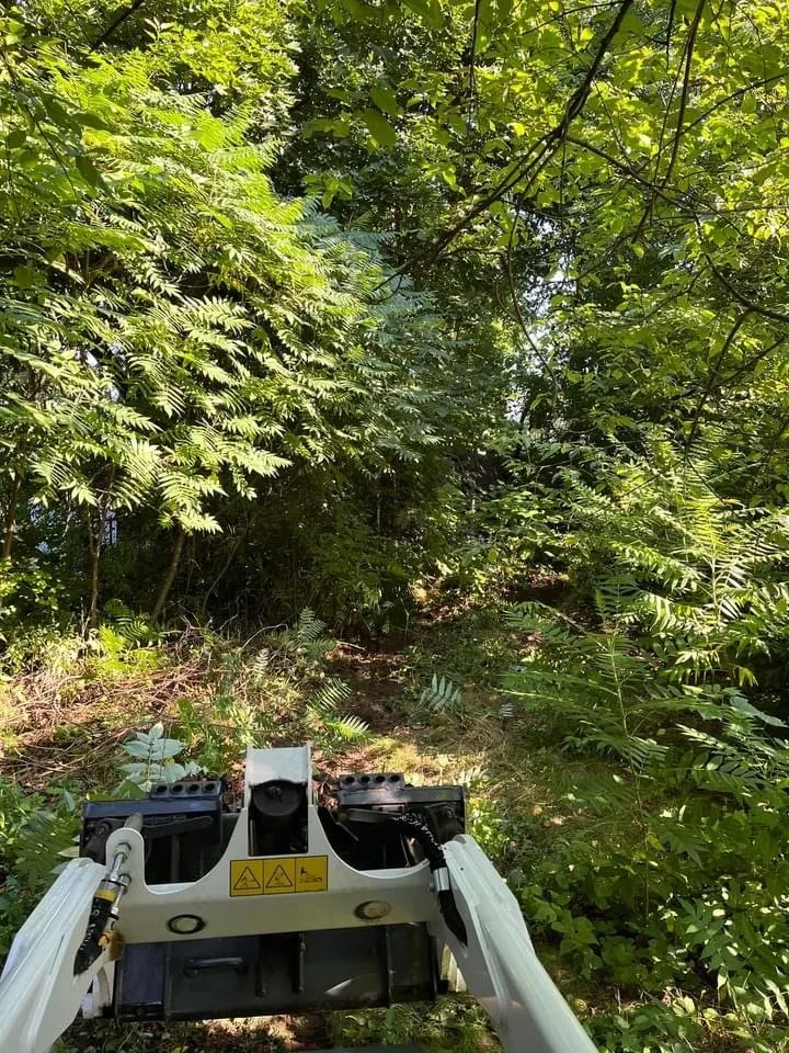 Reliable garden landscaping near you across Enfield, CT - Costa & Son’s Property Maintenance