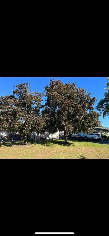 Custom landscape installation in Enfield, CT - Costa & Son’s Property Maintenance