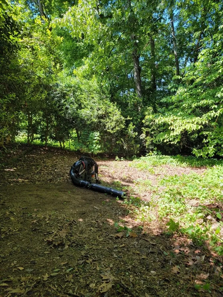 Top-rated lawn care service in Angier, NC by Costa Lawn Care