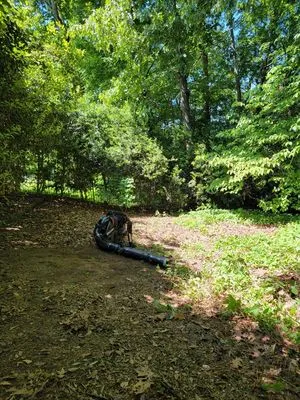 Costa Lawn Care Logo