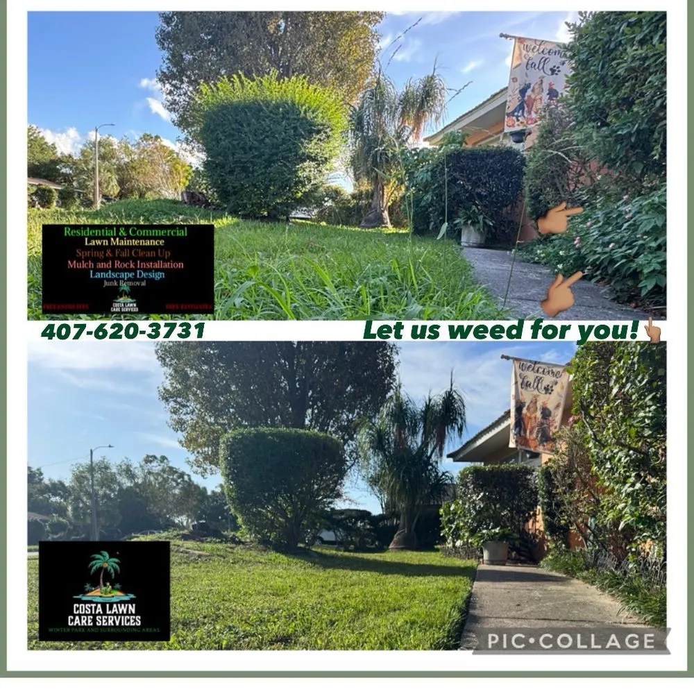 Professional outdoor landscaping in Aloma, FL - Costa Lawn Care Services