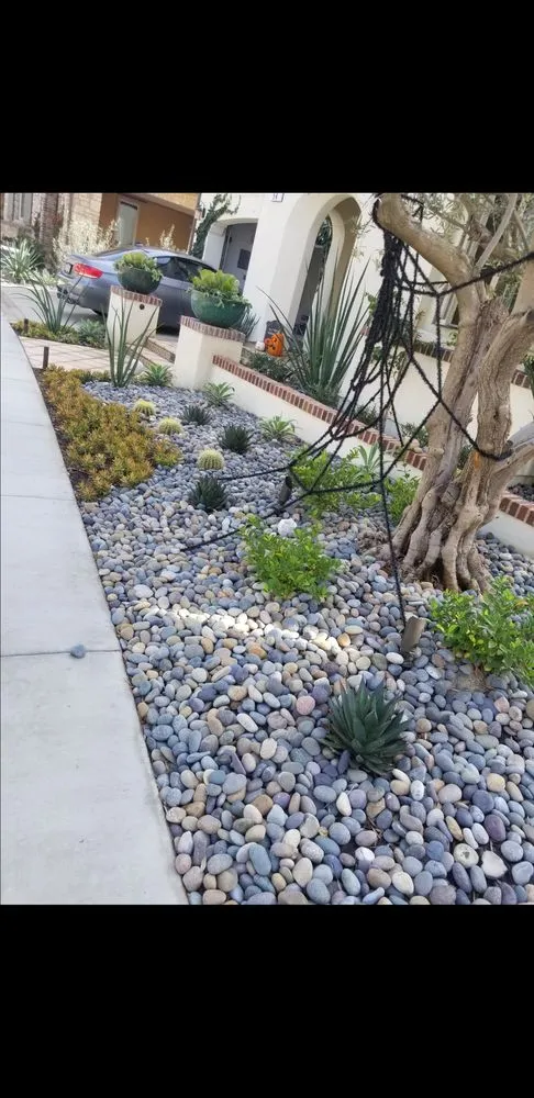 Local lawn mowing service in Costa Mesa, CA by Costa Mesa Gardening Services