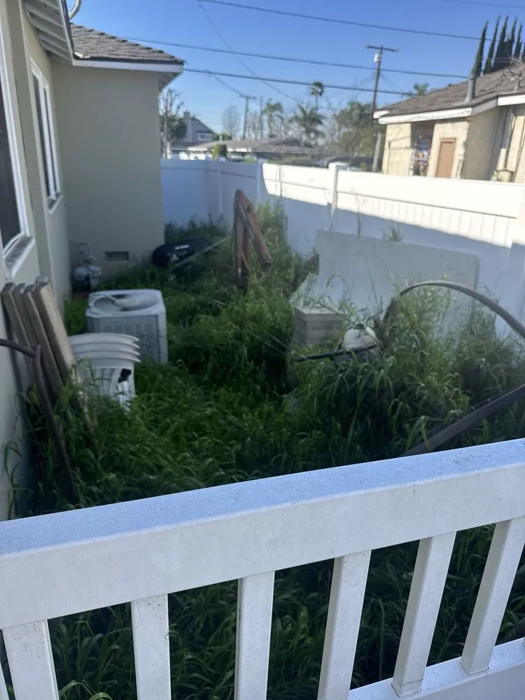 Professional lawn care service for beautiful yards in Costa Mesa, CA by Costa Mesa Gardening Services