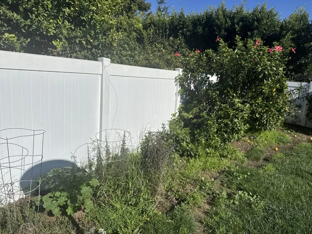 Affordable yard cleanup service for outdoor upgrades in Costa Mesa, CA by Costa Mesa Gardening Services