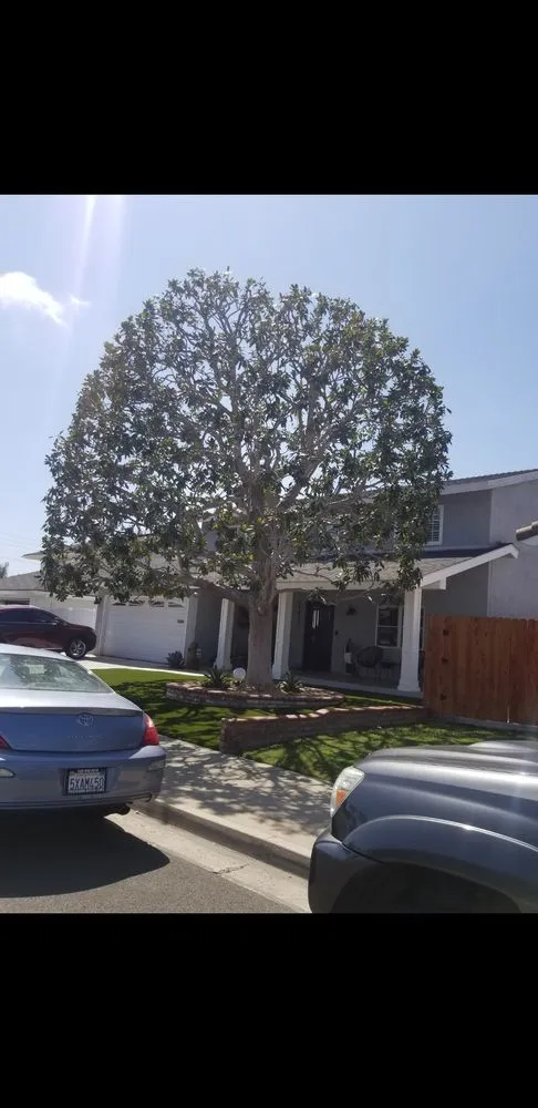 Custom residential landscaping for year-round maintenance across Costa Mesa, CA - Costa Mesa Gardening Services