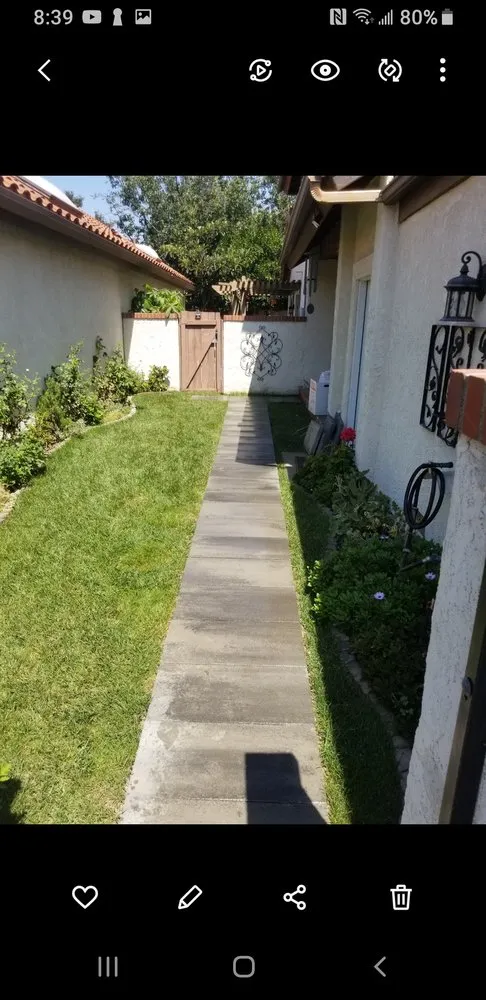 Professional landscape design in Costa Mesa, CA by Costa Mesa Gardening Services