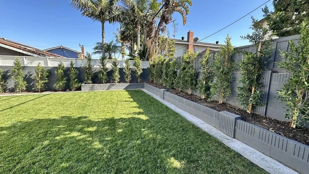 Local yard maintenance experts serving Costa Mesa, CA - Costa Mesa Gardening Services